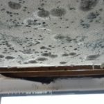 Mold spores on ceiling